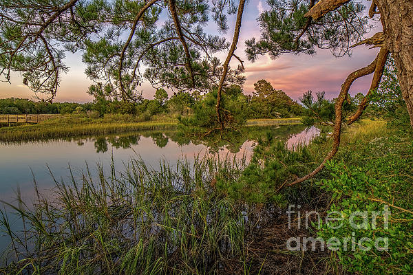 Cherry Grove Afternoon by David Smith Cherry Grove Afternoon by David Smith